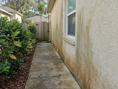 before Soft washing on stucco, Clovis, CA